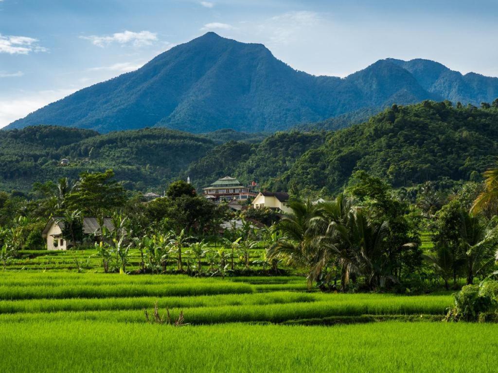 Rizen Padjadjaran Hotel Bogor Bagian luar foto